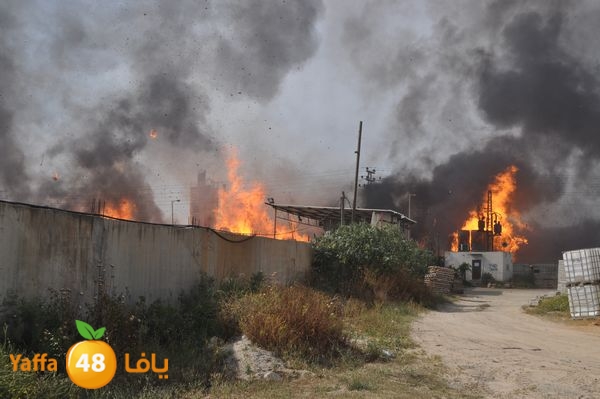 fireludkartoonmasna34 (12).JPG